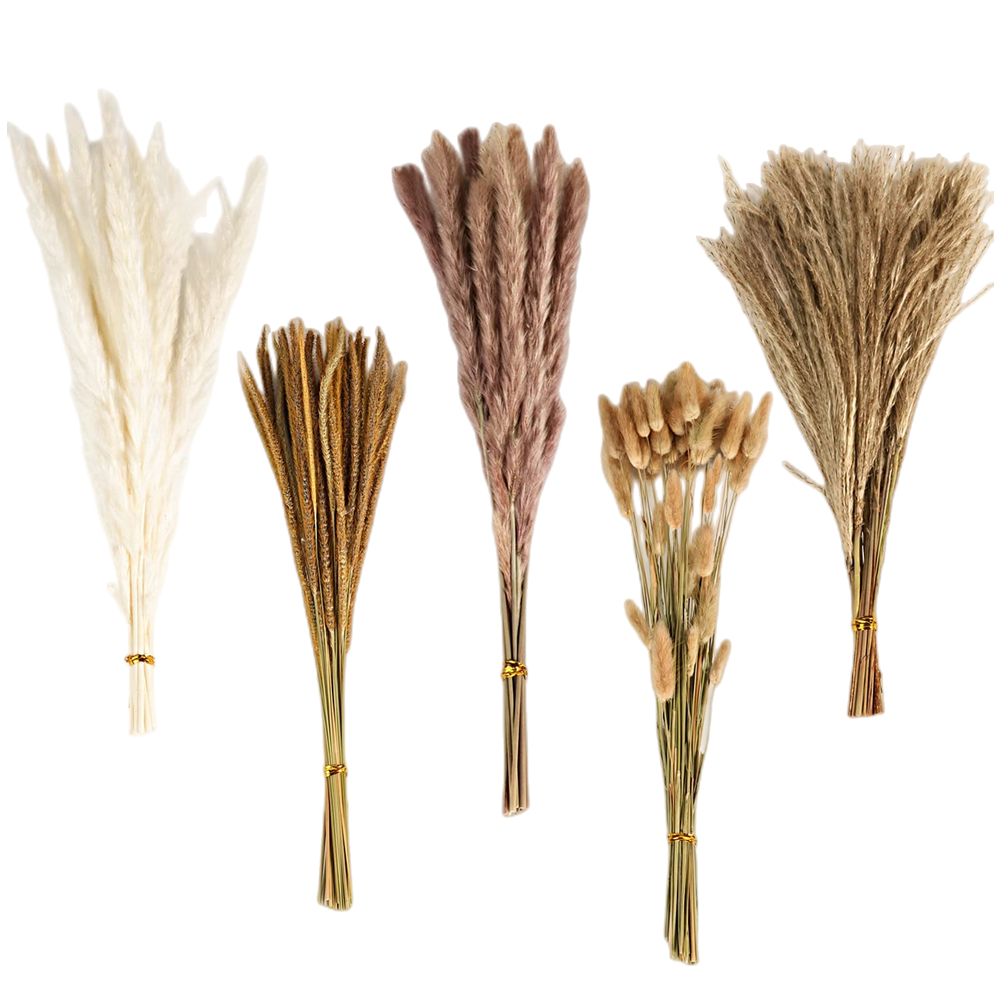 Dried Flower Bulk - ช่อดอกไม้แห้งผสมสไตล์วินเทจฤดูใบไม้ร่วง, หญ้าแพมพัส, หญ้าหางกระต่าย และยูคาลิปตัสแดงอบแห้ง, สำหรับตกแต่งแจกันบนโต๊ะในบ้าน, ตกแต่งงานแต่งงาน,