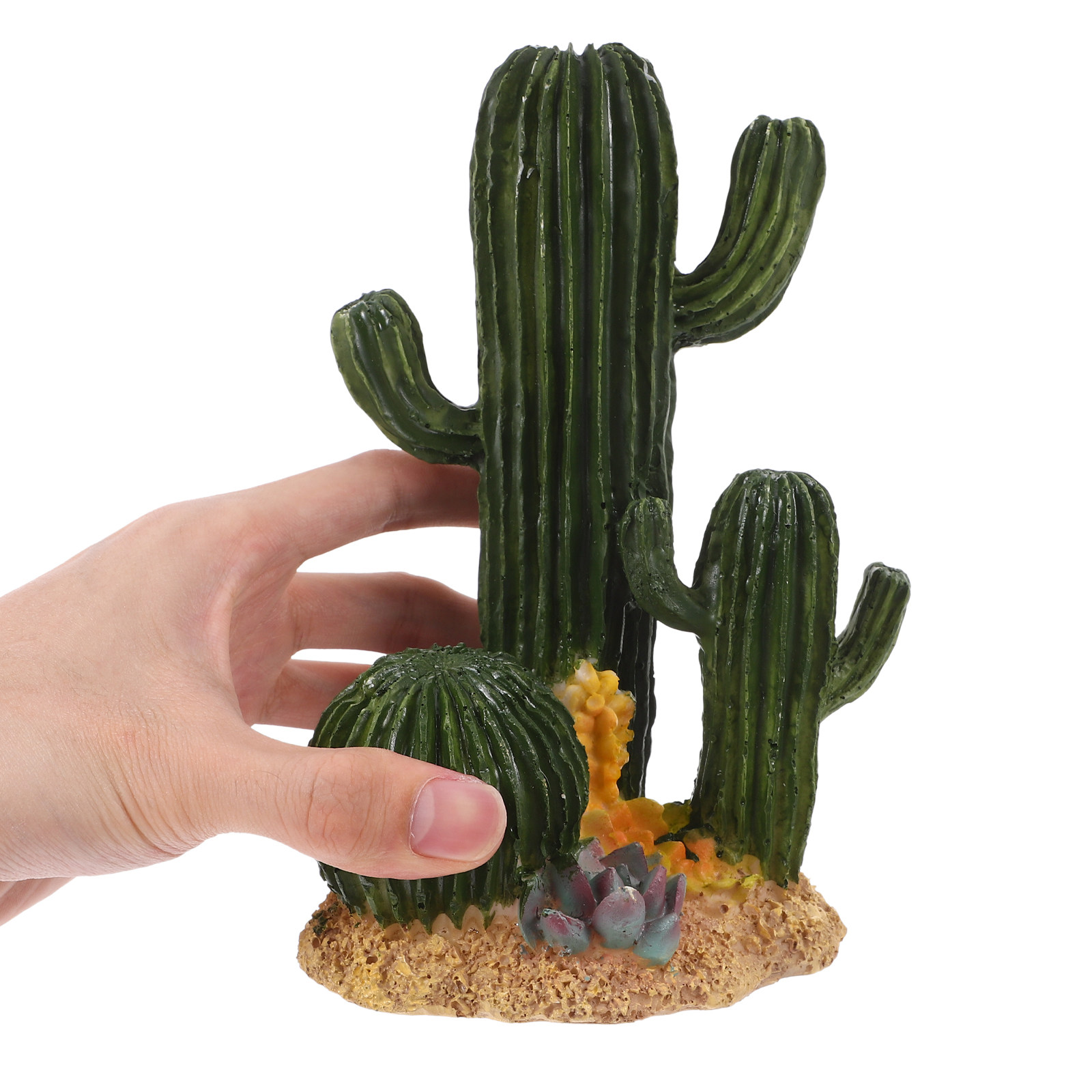 ต้นกระบองเพชรเทียมขนาดใหญ่ ตกแ - Terrarium Moss Art บทวิจารณ์และราคา