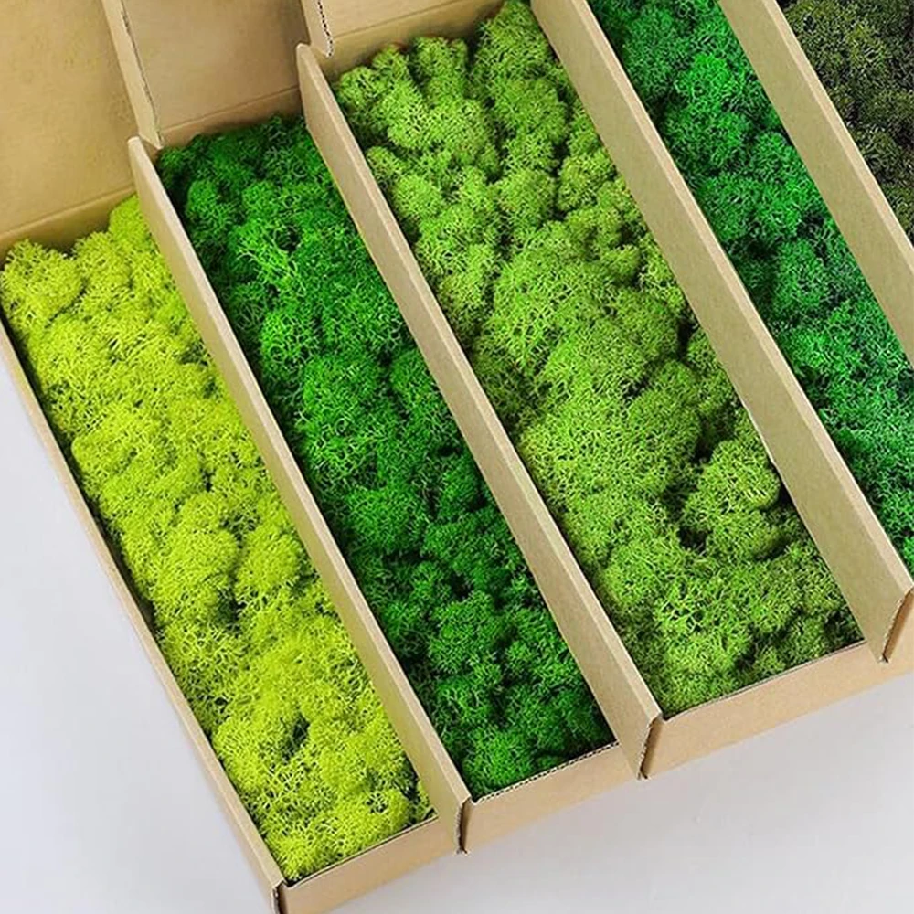 20-200g พืชสีเขียวประดิษฐ์หญ้า - Terrarium Moss Art บทวิจารณ์และราคา