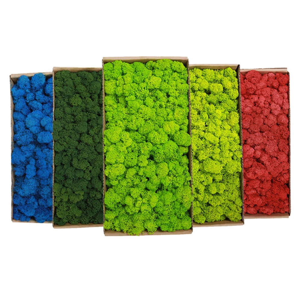 20-200g พืชสีเขียวประดิษฐ์หญ้า - Terrarium Moss Art บทวิจารณ์และราคา