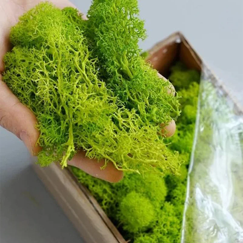 20-200g พืชสีเขียวประดิษฐ์หญ้า - Terrarium Moss Art บทวิจารณ์และราคา