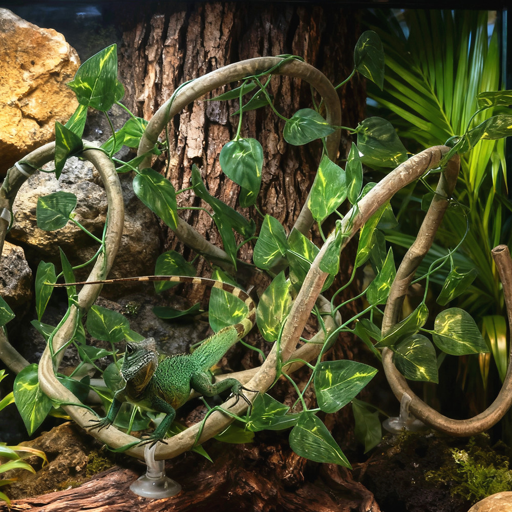 สำหรับตู้เลี้ยงตุ๊กแก ตกแต่งที - Terrarium Moss Art บทวิจารณ์และราคา
