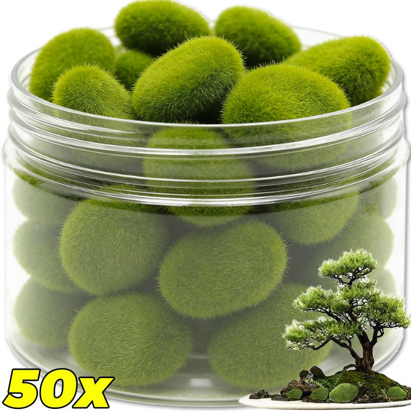 หินมอสเทียม 50/5 ชิ้น หินมอสสี - Terrarium Moss Art บทวิจารณ์และราคา