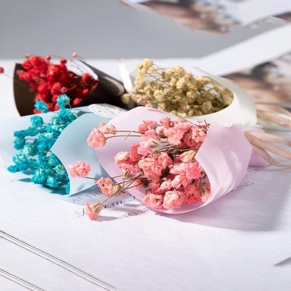 ดอกยิปโซฟิล่าจำลองทำมือดอกไม้ช - Dried Flower Bulk บทวิจารณ์และราคา