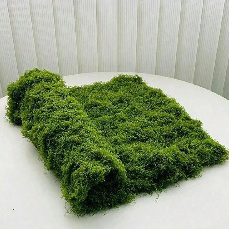 มอสเทียมสำหรับตกแต่งภูมิทัศน์ข - Terrarium Moss Art บทวิจารณ์และราคา