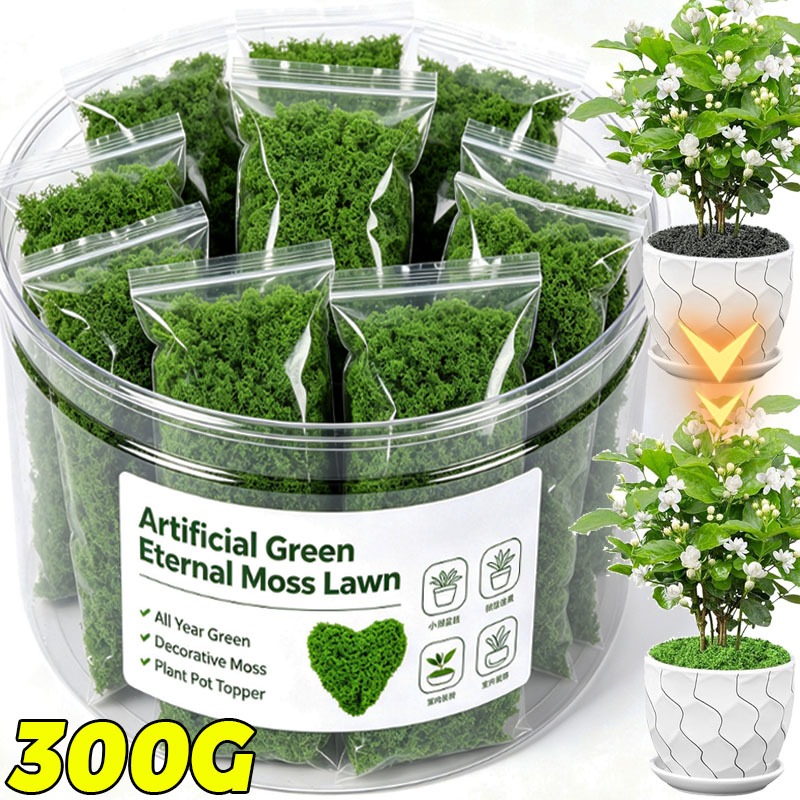 ต้นไม้ประดิษฐ์สีเขียว มอสอมตะ  - Terrarium Moss Art บทวิจารณ์และราคา
