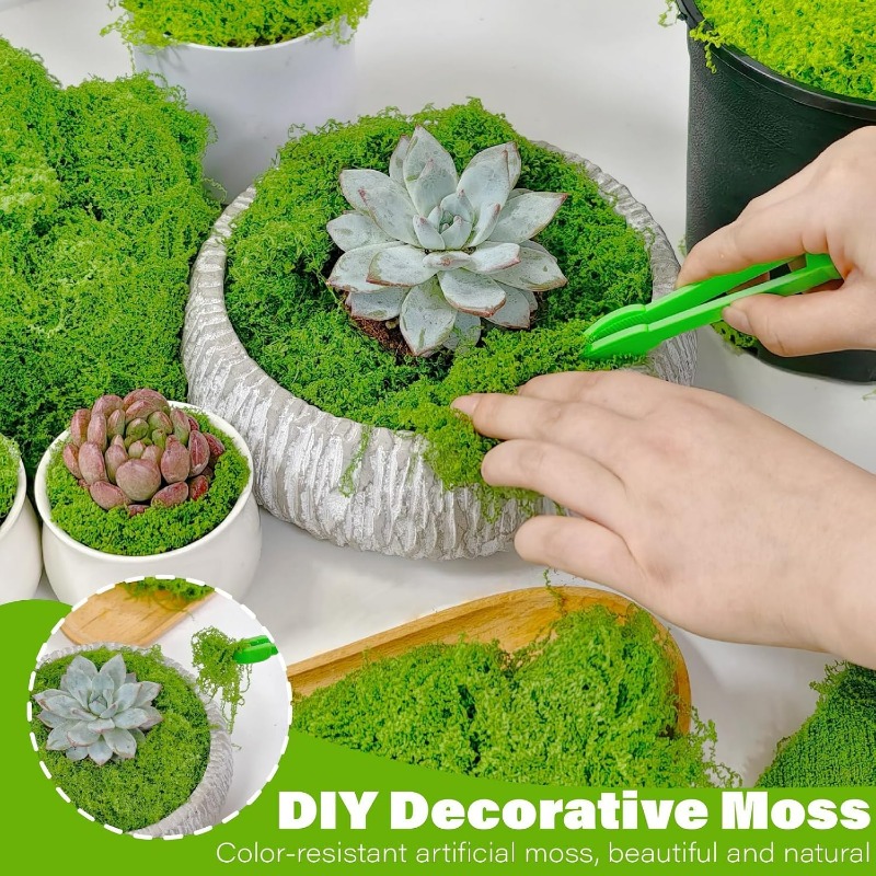 ต้นไม้ประดิษฐ์สีเขียว มอสอมตะ  - Terrarium Moss Art บทวิจารณ์และราคา